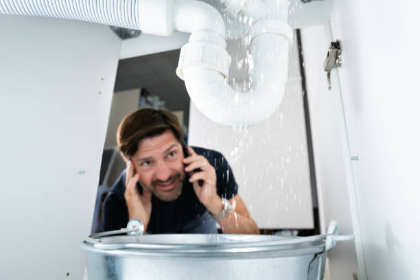 Best Faucet Repair  in Carrollton, IL