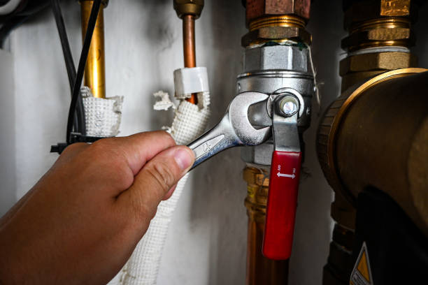 Best Affordable Plumbing Services  in Carrollton, IL